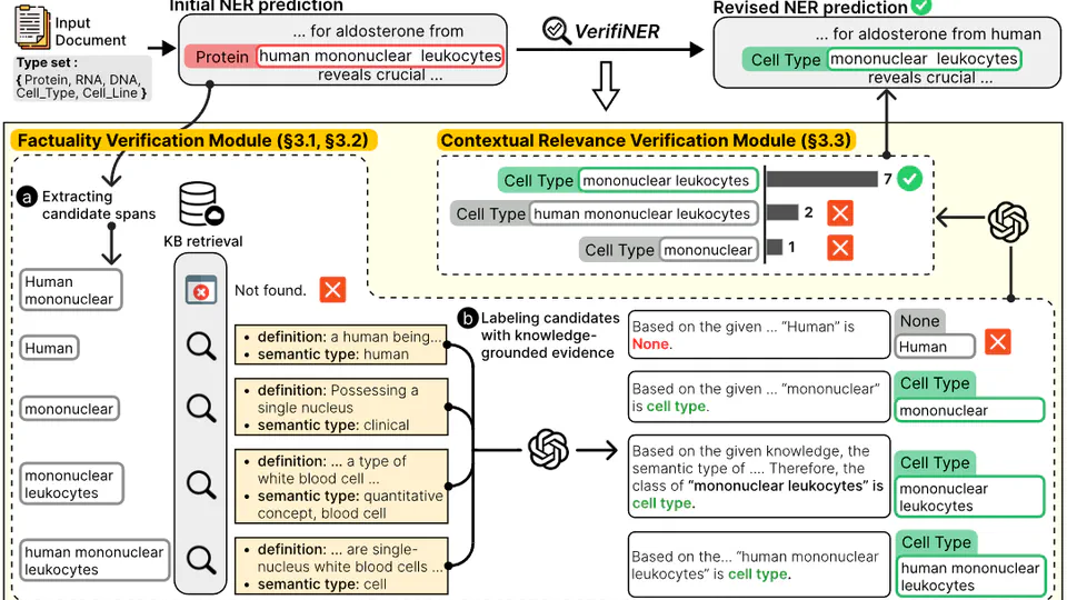 VERIFINER: Verification-augmented NER via Knowledge-grounded Reasoning with Large Language Models